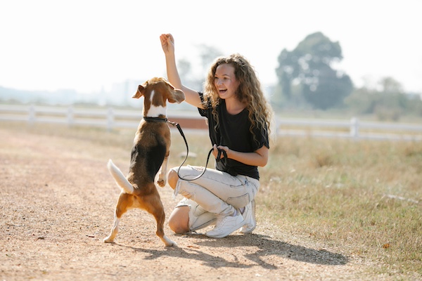 Learn how to build a strong bond with your dog through training