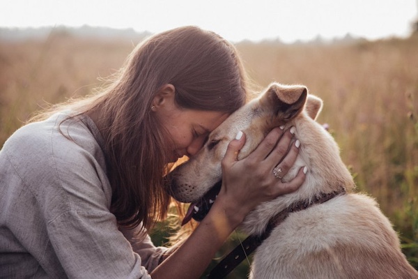 Dog Training and Mental Health